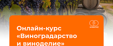 Онлайн-курс «Виноградарство и виноделие»