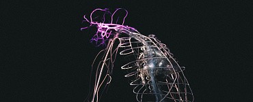 Онлайн-курс «Регуляция вегетативной нервной системы (ВНС)»