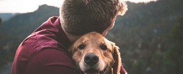 Курс «Что скрывает ваша собака?»