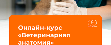 Курс «Патологическая ветеринарная анатомия и ветеринарная экспертиза»