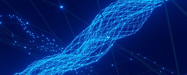 Курс «Руководитель физкультурно-спортивной организации (с присвоением квалификации "Руководитель физкультурно-спортивной организации")»