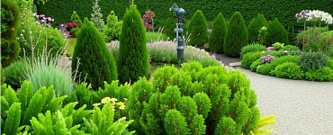 Профессия «Ландшафтный дизайнер»