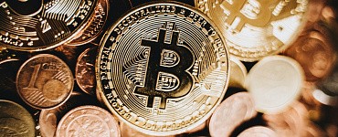 Курс «Крипто-боты»