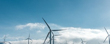 Профессиональная переподготовка «Прикладная экология»