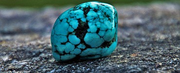 Курс «Геология нефти и газа»