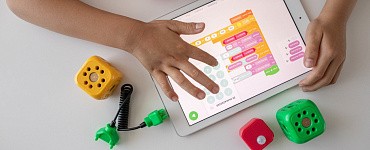 Программа «Инклюзивное образование детей дошкольного возраста с ограниченными возможностями здоровья в условиях реализации ФГОС ДО (72ч)»