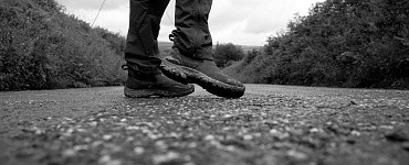 Курс «Теория и методика скандинавской (северной) ходьбы»