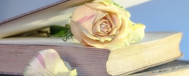 Видеокурс «Акварельные розы ЛаФе»