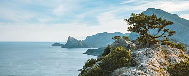 Курс «Руны и травы»