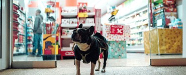 Курс «Мерчандайзинг — управление прибылью: оптимизация выкладки, управление полочным пространством, кросс-мерчандайзинг»