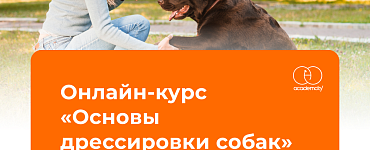 Мини-курс «Основы дрессировки собак»