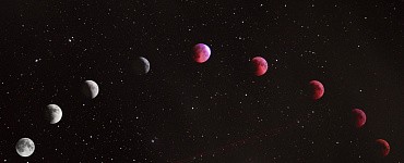 Курс «Медицинская астрология»