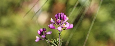 Профессиональная переподготовка «Геоэкология»