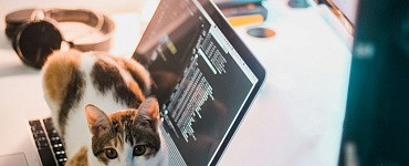 Программа «Магистратура. Прикладной анализ данных и машинное обучение»