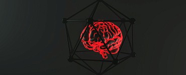 Профессиональная переподготовка «Мозг и нейронауки: интегративный подход к поддержанию здоровья мозга и когнитивных функций»