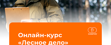 Онлайн-курс «Лесное дело»