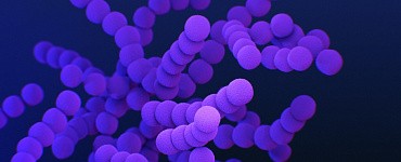 Курс «Учитель по предмету Обществознание повышение квалификации»