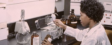 Курс «Провизор»