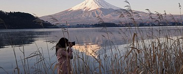 Курс «Арт-Микс»